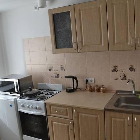 Apartment Brooklyn In Kamjanets-Podilskyi Eksteriør billede